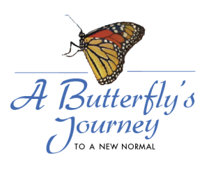 ABJ2ANN Color logo