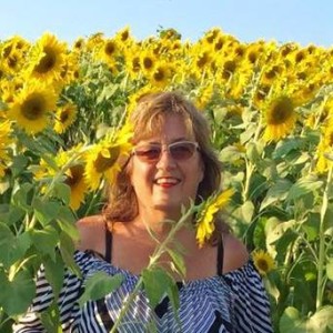 Barb sunflowers