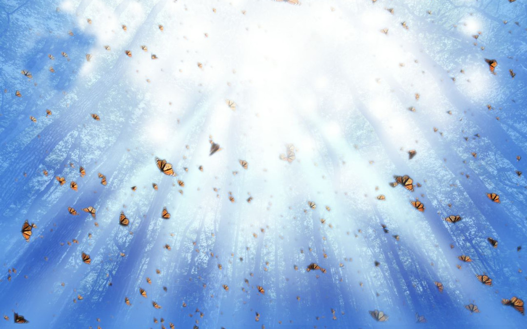 More About “Signs” – Do You Believe?”