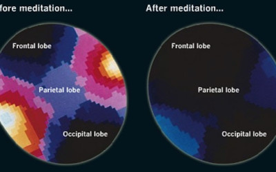 WNBP Radio – Benefits of Meditation for Grief, Stress, Pain and more.