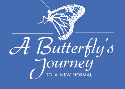 ABJ LAUNCH Newsletter – January 2016