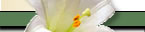 Bereavement Poems-Articles