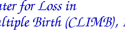 Center for Loss in Multiple Births