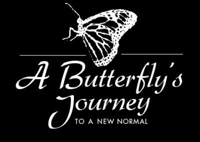 ABJ Fall / Holiday ’16 Newsletter
