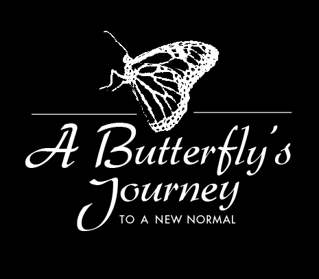 ABJ Fall / Holiday ’16 Newsletter