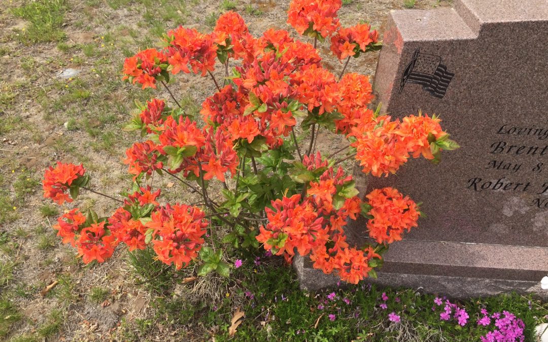 Memorial Day – How To Remember Loved Ones?