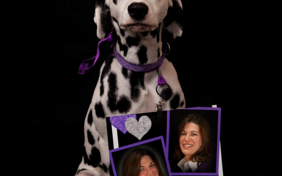 LOVE …from Holly the Dalmation
