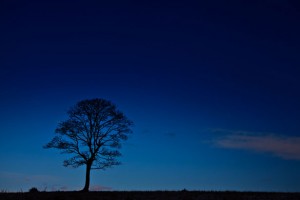 Why Sadness is the Key to True Happiness