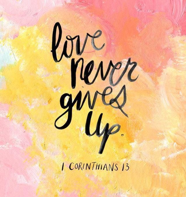 NEVER Give Up – Look at Super Bowl LI !!!