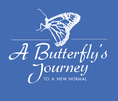 ABJ Jan/Feb’17 Newsletter