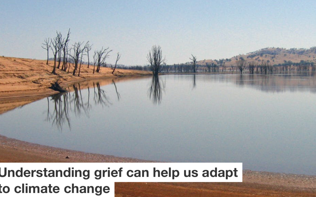 Article: “Understanding Grief Can Help Us Adapt To Climate Change”