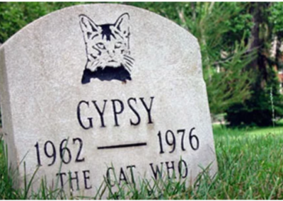 Coping with Losing a Pet