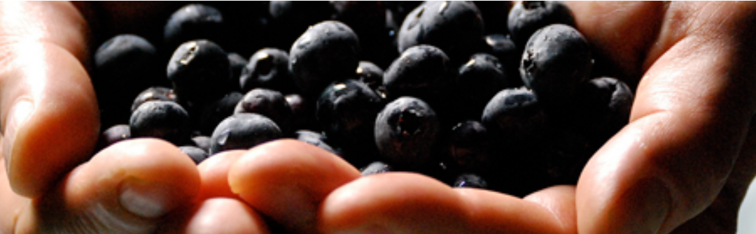Heart Wisdom – Ep. 58 – Starting with the Fruit