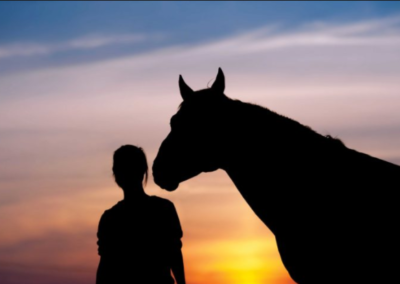 Coping With Loss: Coping With the Loss of Your Horse: 15 Ways to Honor the Bond You Shared