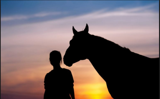 Coping With Loss: Coping With the Loss of Your Horse: 15 Ways to Honor the Bond You Shared