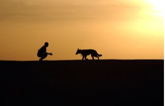 7 Self-Care Essentials While Grieving the Death of a Pet