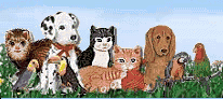 Rainbow Bridge Pet Loss Grief Center